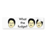 What the fudge? bumper sticker