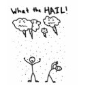 What the HAIL! t-shirts