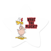 a plucked chicken
