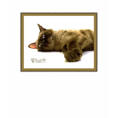 What?! T Shirts by Rainmountain