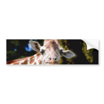 what, WHAT ???? bumper stickers by kasbh1 what, WHAT ???? bumper stickers