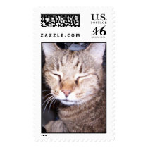 What?  Who? postage