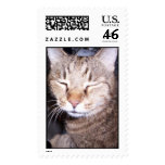What?  Who? Postage Stamps