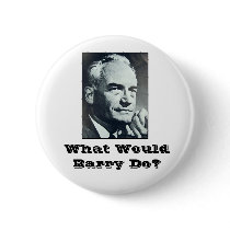 What Would Barry Do? Pins