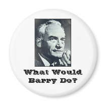 What Would Barry Do? magnets