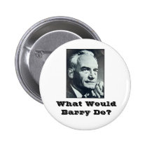What Would Barry Do? Pins