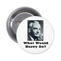 What Would Barry Do? Pins