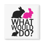 What would bunny do? magnets
