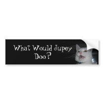 What Would Jupey Doo? bumper stickers by snowbirdy6 What Would Jupey Doo? bumper stickers