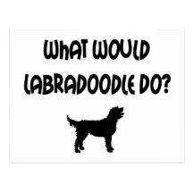What Would Labradoodle Do? T-shirts & Gifts Post Card