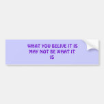 WHAT YOU BELIVE IT ISMAY NOT BE WHAT IT IS BUMPER STICKERS