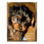 What you hiding? Customizable Postcard