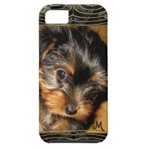 What you hiding Yorkie iPhone 5 Cover