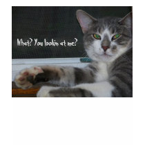 What? You lookin at me? t-shirts