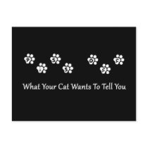 What Your Cat Wants To Tell You Post Cards