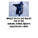 What!?! You're not fixed?! Animal Alliance t-shirts
