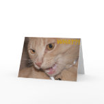 WHAT?! You're THAT old?! Greeting Cards