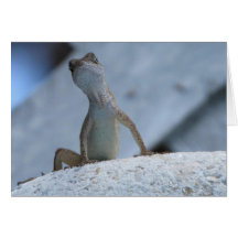 Whatcha' Doin? Card