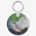 Whatcha Doin'? Quaker Parakeet keychains by MenagerieMayhem Whatcha Doin'? Quaker Parakeet keychains