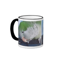 Whatcha Doin'? Quaker Parakeet mugs by MenagerieMayhem Whatcha Doin'? Quaker Parakeet mugs