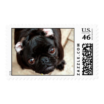Whatcha Doing? postage