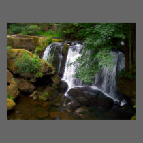 Whatcom Falls posters