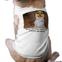 What'd ya mean sporting breed? pet clothing