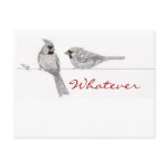 Whatever