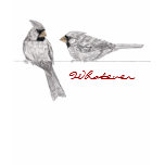 Whatever tee