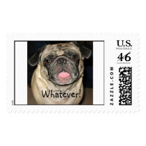 whateverpug, Whatever! postage by andiemollyjake whateverpug, Whatever! postage
