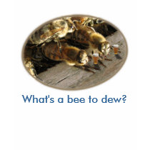 What's a Bee to dew? t-shirts by scarrman What's a Bee to dew? t-shirts