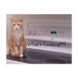 What's Cooking??!! Postcard