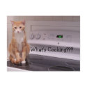 What's Cooking??!! postcards