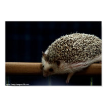 What's down there? poster posters by hedgehogworld What's down there? poster posters