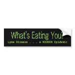 What's Eating You?, Lyme Disease . . . a HIDDEN... Bumper Sticker What's Eating You?, Lyme Disease . . . a HIDDEN... Bumper Sticker