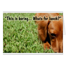 Whats for lunch? card
