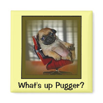 What's Goin on Pugger? Fridge Magnet