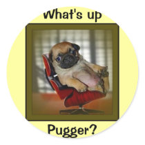 What's Goin on Pugger? Round Stickers