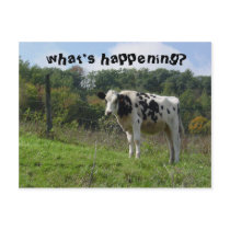 what's happening? postcards