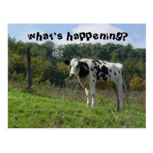 what's happening? postcard