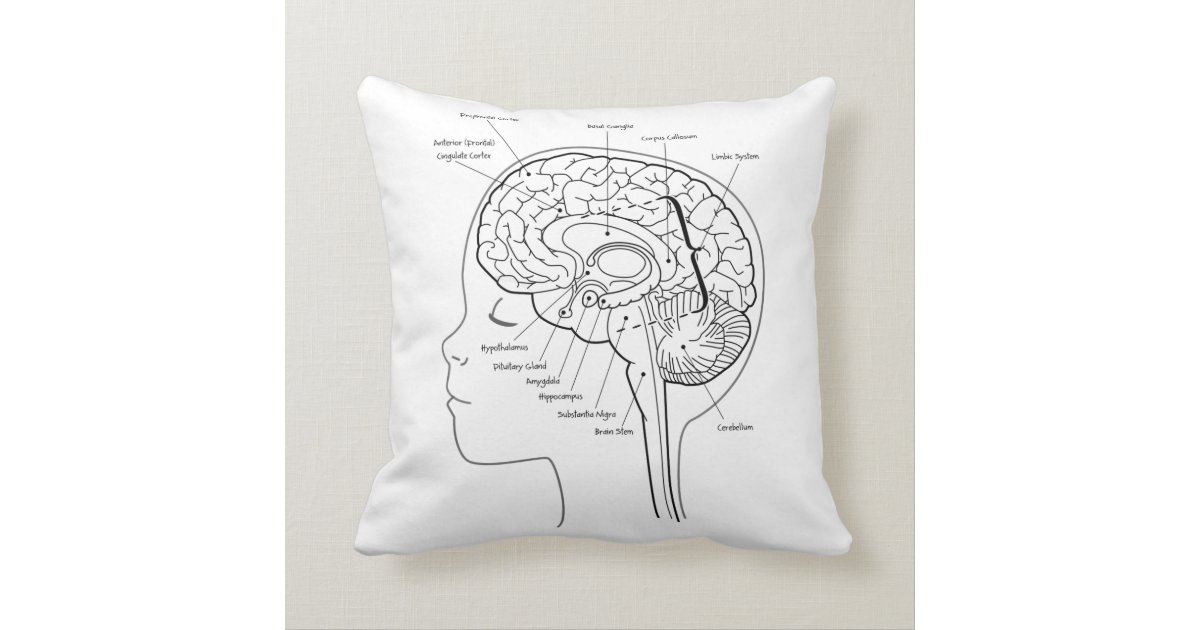 What's in Your Brain Pillow Zazzle