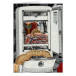 What's In Your Fridge? cards