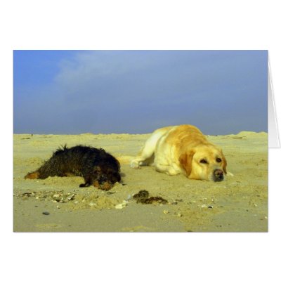 What's next? greeting cards by Rainmountain