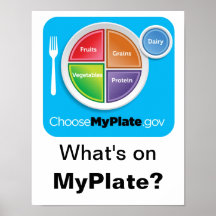 What's on MyPlate? Poster - Blue on White