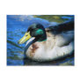 What's Quackin? Post Card