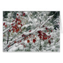 What's red and white and snow all over? cards