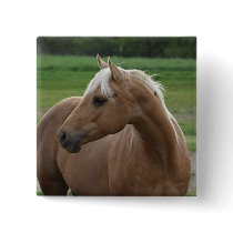 Whats Sizzlin Jac Pin