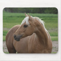 Whats Sizzlin Jac Mouse Pads