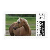 Whats Sizzlin Jac Stamp