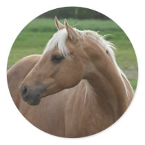 Whats Sizzlin Jac Stickers